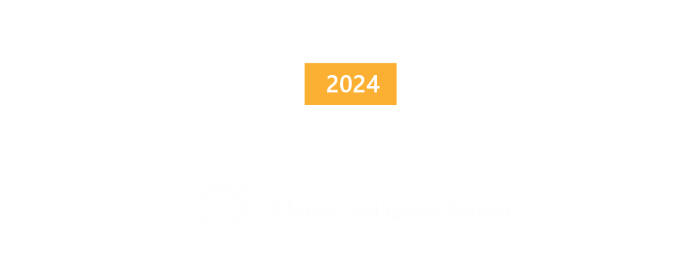 Charity Intelligence Top 10 Impact Charity Banner